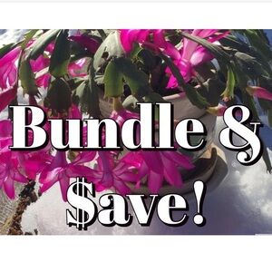 Bundle to $ave!